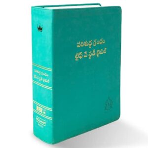 Telugu Study Bible, Light Green PU Leather Touch Study Bible