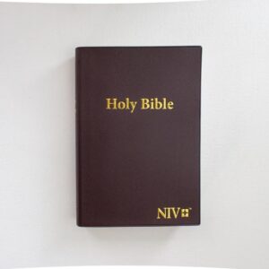 NIV Compact Vinyl Softcover Brown Bible