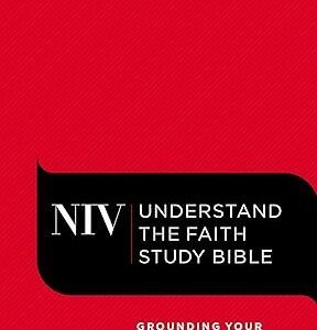 NIV, Understand the Faith Study Bible, Imitation Leather, Blue, Indexed