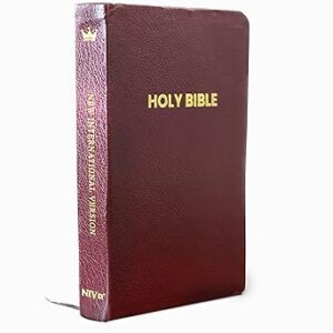 NIV English Bible, Brown Leather Touch Cover