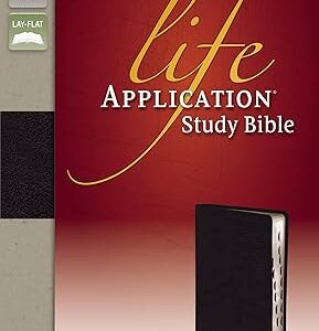 NIV, Life Application Study Bible, Personal Size, Imitation Leather