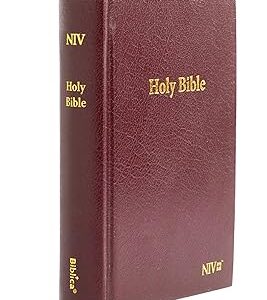 NIV Mini Compact PVC Hardcover Brown Bible