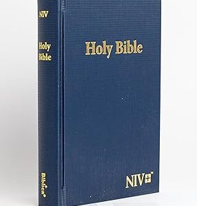 NIV Compact PVC Hardcover Blue Bible