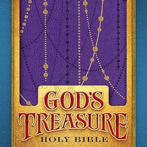 NIV, God’s Treasure Holy Bible, Leathersoft, Amethyst: Golden promises and priceless stories