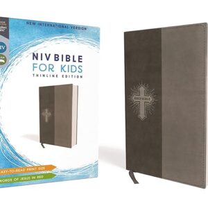 NIV, Bible for Kids, Leathersoft, Gray, Red Letter, Comfort Print: Thinline Edition