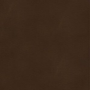 KJV Ultrathin Bible, Brown LeatherTouch