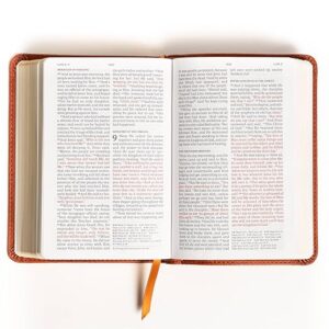 NASB Compact Reference Bible, Burnt Sienna LeatherTouch, Red Letter, Presentation Page, Cross-References, Full-Color Maps, Easy-to-Read Bible Karmina Type