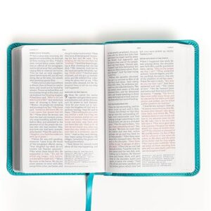 NASB Compact Reference Bible, Teal LeatherTouch, Red Letter, Presentation Page, Cross-References, Full-Color Maps, Easy-to-Read Bible Karmina Type