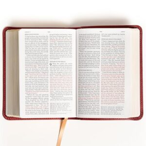 NASB Compact Reference Bible, Burgundy LeatherTouch, Red Letter, Presentation Page, Cross-References, Full-Color Maps, Easy-to-Read Bible Karmina Type