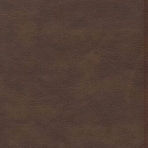 KJV Single-Column Compact Bible, Brown LeatherTouch, Red Letter, Pure Cambridge Text, Presentation Page, Full-Color Maps, Easy-to-Read Bible MCM Type