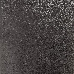 KJV Large Print Compact Bible, Black, Indexed