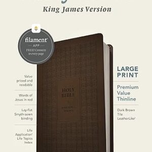 KJV Large Print Premium Value Thinline Bible, Filament Enabled (LeatherLike, Dark Brown Tile, Red Letter)