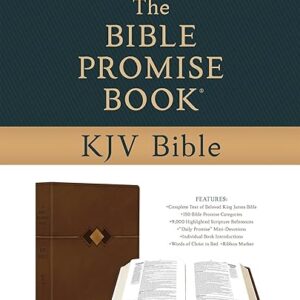 The Bible Promise Book KJV Bible [Hickory Diamond]