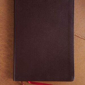 NIV, Thinline Bible, Giant Print, Bonded Leather, Burgundy, Red Letter, Comfort Print