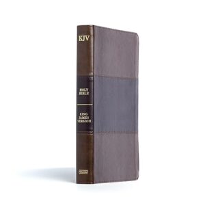 KJV Thinline Reference Bible, Saddle Brown LeatherTouch, Red Letter, Pure Cambridge Text, Presentation Page, Cross-References, Full-Color Maps, Easy-to-Read Bible MCM Type